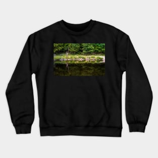 The Mirror of Nature Crewneck Sweatshirt